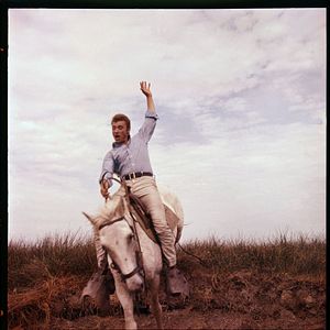 Photo Johnny Hallyday