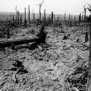 Photo Le Rouge et le Gris, Ernst Jünger dans la grande guerre - Partie 1