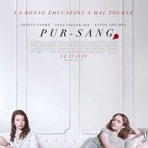 Photo Pur-sang