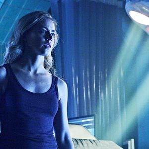 Photo 12 Monkeys