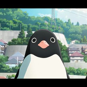 Photo Le Mystère des pingouins