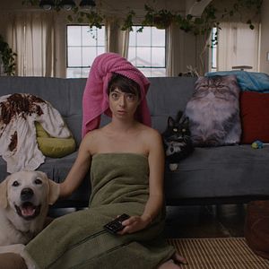 Photo Mon chat, mon chien... et les autres ?