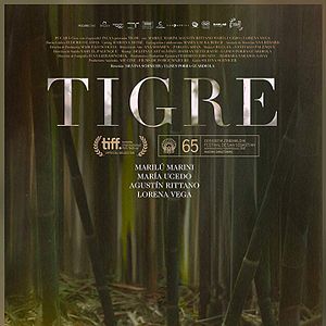 Photo Tigre