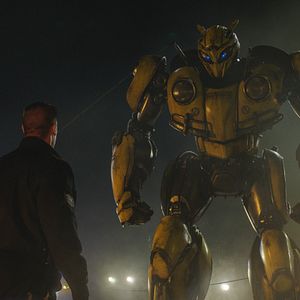 Photo Bumblebee