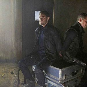 Photo Luke MacFarlane