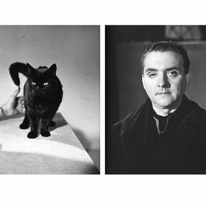 Photo L'Oeil du diable