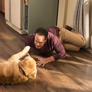 Photo Diedrich Bader