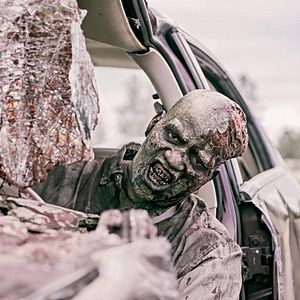 Photo Z Nation