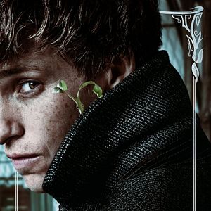 Photo Les Animaux fantastiques : Les crimes de Grindelwald