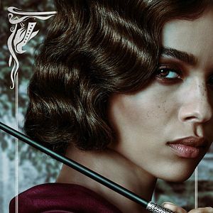Photo Les Animaux fantastiques : Les crimes de Grindelwald