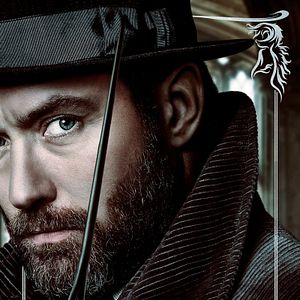 Photo Les Animaux fantastiques : Les crimes de Grindelwald