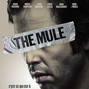 Photo The Mule