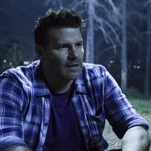 Photo David Boreanaz