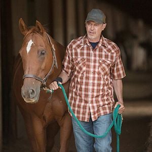 Photo La Route sauvage (Lean on Pete)