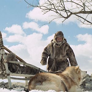 Photo Mikhail Aprosimov