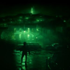 Photo Le Brouillard Vert