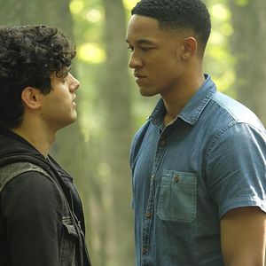 Photo Aria Shahghasemi