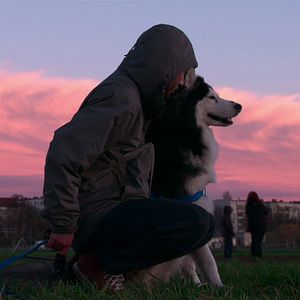 Photo Nos amis les chiens