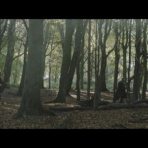 Photo Robin des bois : la rébellion