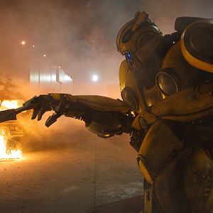 Photo Bumblebee
