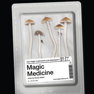 Photo Magic Medicine : Les champignons contre la dépression