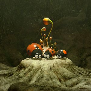 Photo Minuscule 2 - Les Mandibules du Bout du Monde