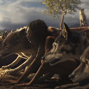 Photo Rohan Chand (II)