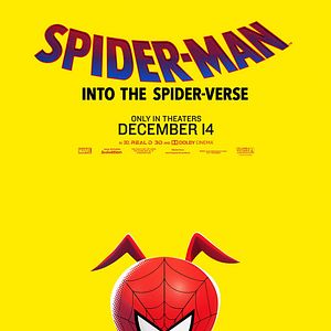 Photo Spider-Man : New Generation