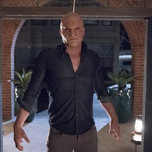 Photo Bernardo P. Saracino