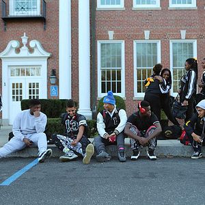 Photo Killer Bees
