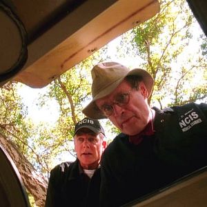 Photo NCIS : Enquêtes spéciales