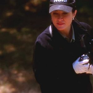 Photo NCIS : Enquêtes spéciales