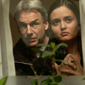 Photo NCIS : Enquêtes spéciales
