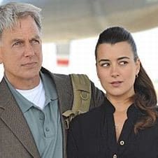 Photo NCIS : Enquêtes spéciales