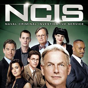 Photo NCIS : Enquêtes spéciales