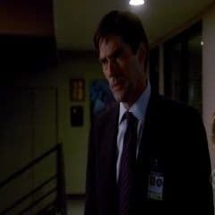 Photo Esprits criminels