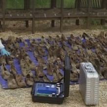 Photo Esprits criminels