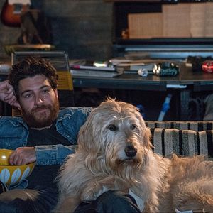 Photo Dog Days