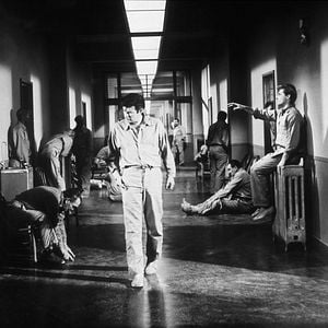 Photo Shock Corridor