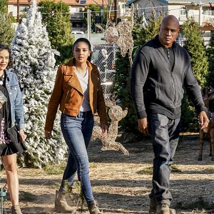 Photo Marsha Thomason