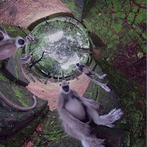 Photo The Wild Immersion