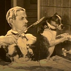 Photo Metier de chien