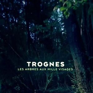 Photo Trognes, les arbres aux milles visages