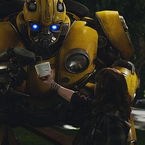 Photo Bumblebee