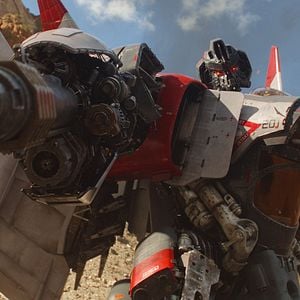 Photo Bumblebee