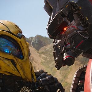 Photo Bumblebee