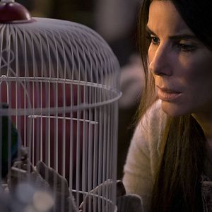 Photo Sandra Bullock