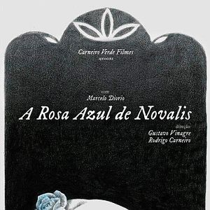 Photo A rosa azul de novalis