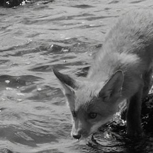 Photo La Grande aventure