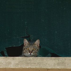 Photo La Liberté